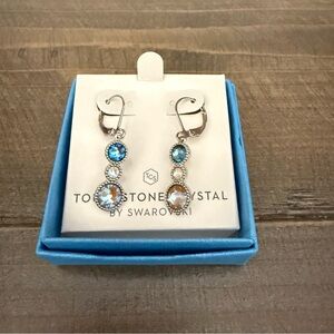 Touchstone Crystal Little Falls Earrings